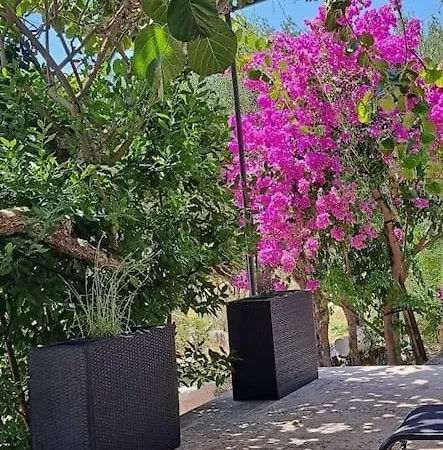 Apartman Kyra With Terrace And Garden