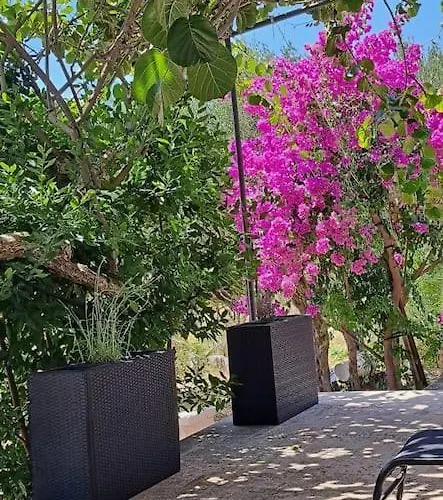 Daire Kyra With Terrace And Garden